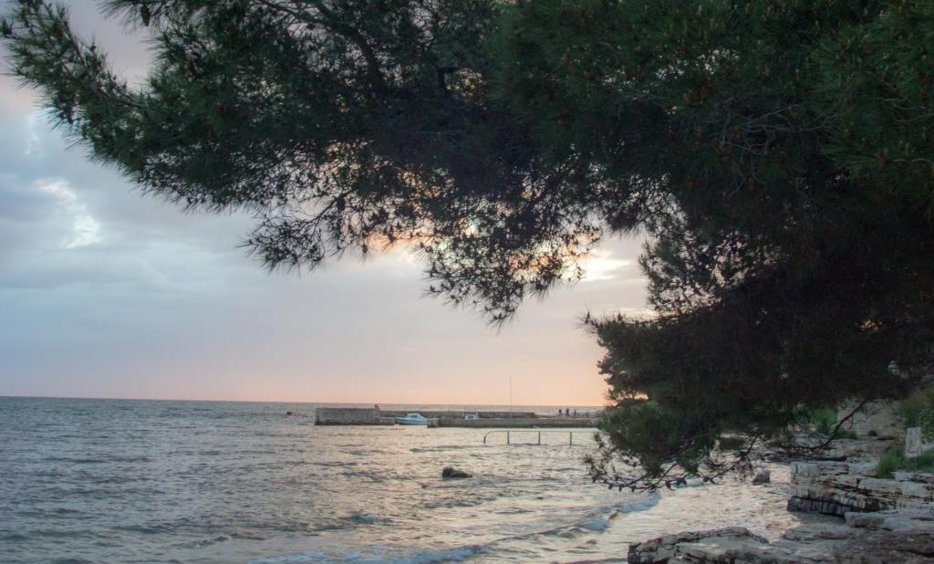 Apartments Villa Stapo Ουμάγκ Εξωτερικό φωτογραφία